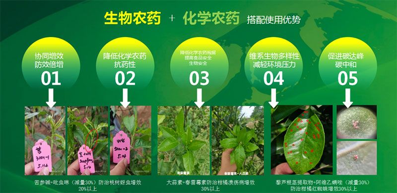 新朝陽(yáng)在第六屆中國(guó)農(nóng)藥行業(yè)市場(chǎng)和銷售高峰論壇做“生物農(nóng)藥+化學(xué)農(nóng)藥，引領(lǐng)植保市場(chǎng)未來(lái)”主題報(bào)告