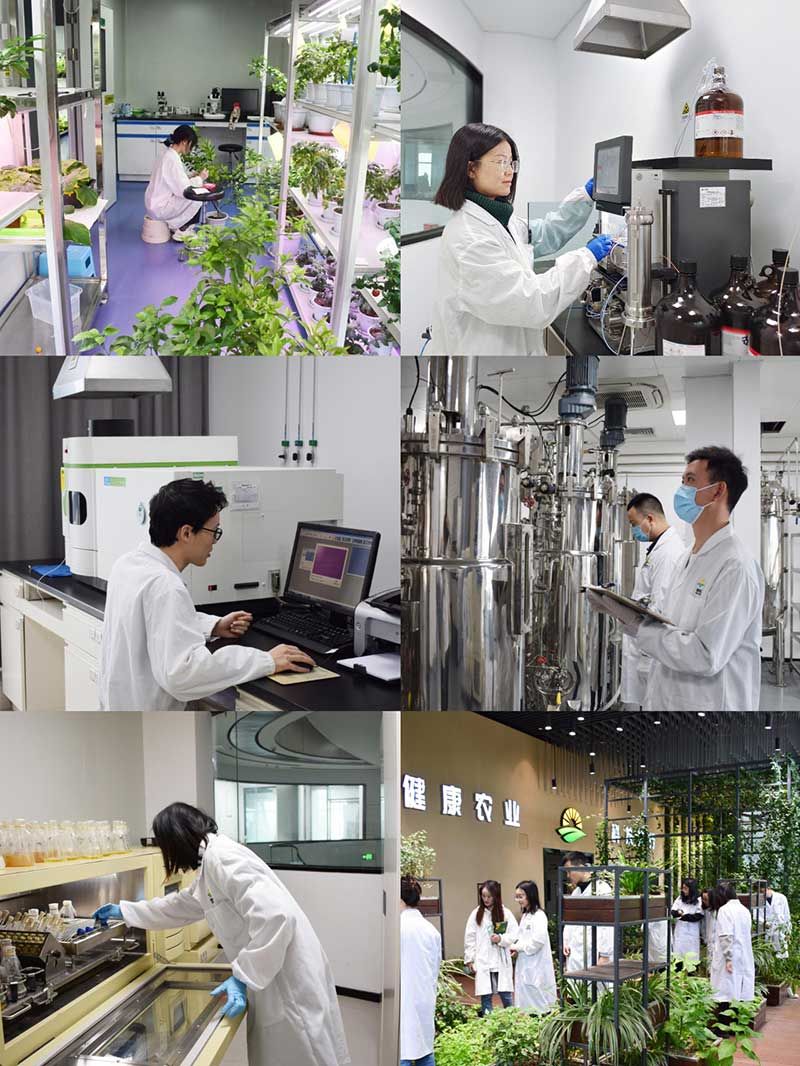 “全國科技工作者日”：推動農(nóng)業(yè)綠色高質(zhì)量發(fā)展，新朝陽科研人在路上