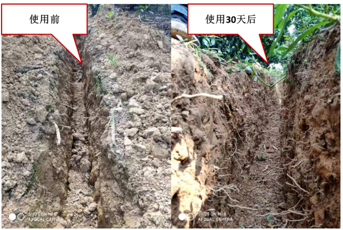 “土壤板結(jié)克星”：土壤調(diào)理劑你了解多少？