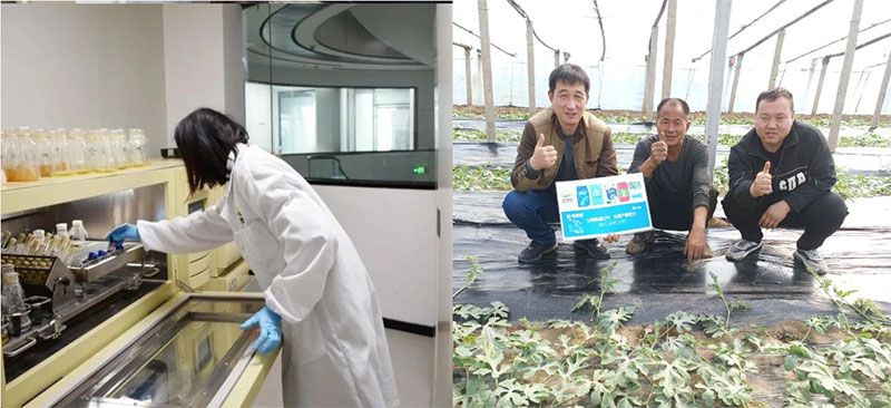 打造新朝陽生物科技“五張名片”，服務農(nóng)業(yè)高質(zhì)量發(fā)展！