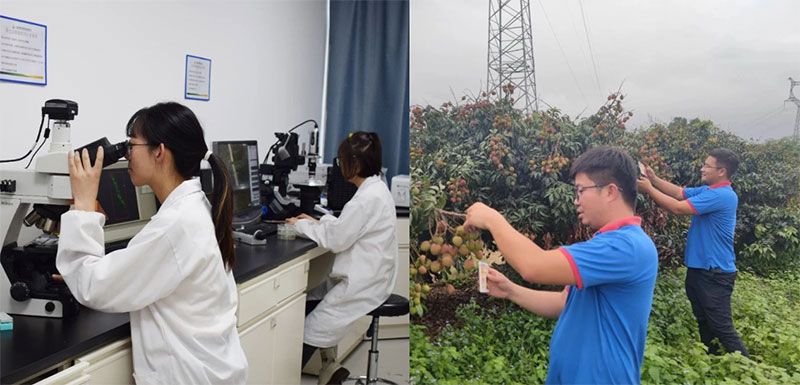 打造新朝陽生物科技“五張名片”，服務農(nóng)業(yè)高質(zhì)量發(fā)展！