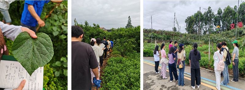 首個(gè)！中國(guó)農(nóng)業(yè)大學(xué)攜手新朝陽(yáng)啟動(dòng)“朝陽(yáng)稼穡計(jì)劃”