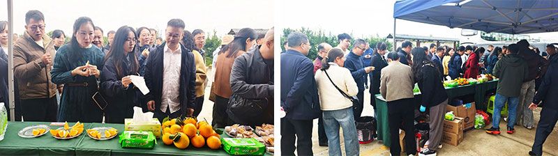 新朝陽(yáng)生物技術(shù)助力綠色防控，推動(dòng)柑橘產(chǎn)業(yè)綠色高質(zhì)量發(fā)展